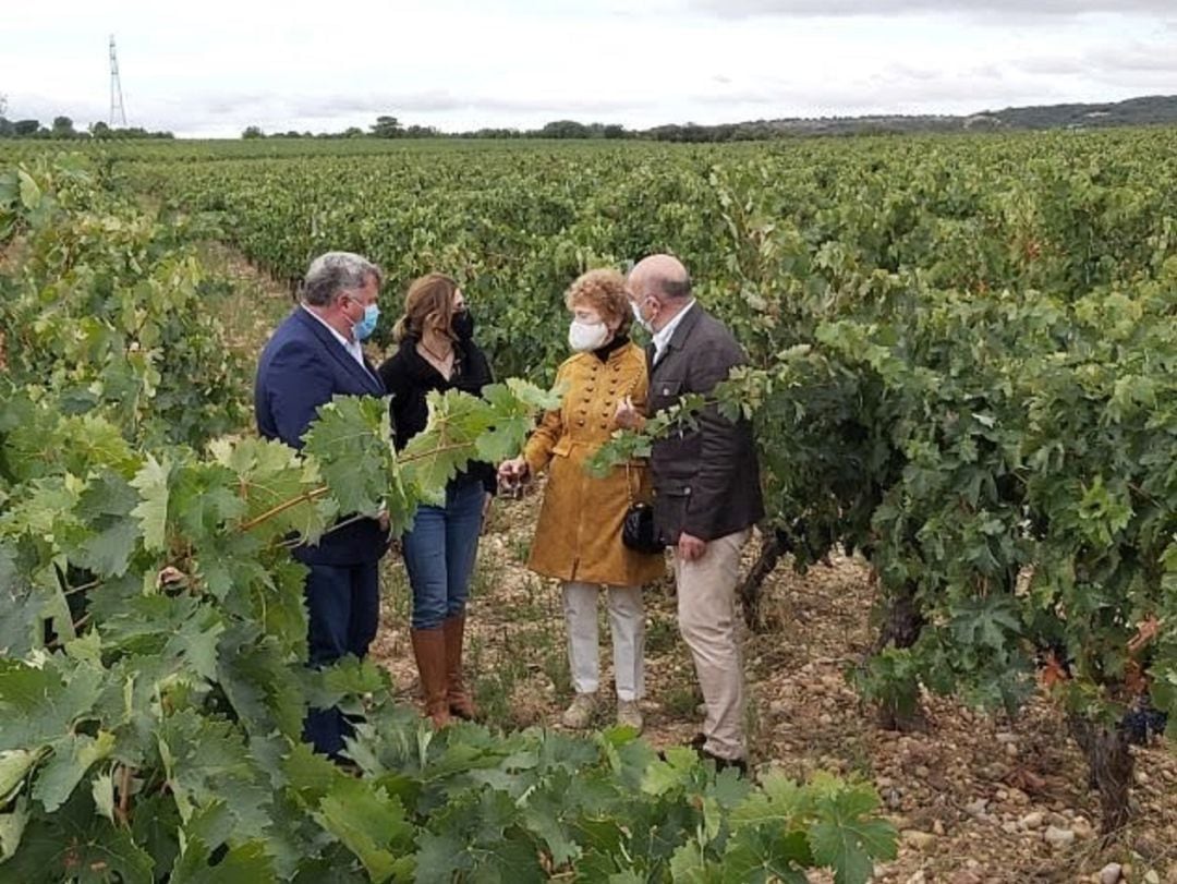 El consejero de Agricultura, a la derecha, en la campaña de inicio de vendimias