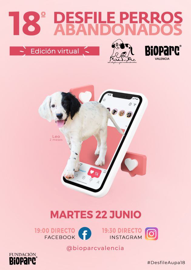 Cartel 18º Desfile de perros abandonados de Bioparc València y A.U.P.A.