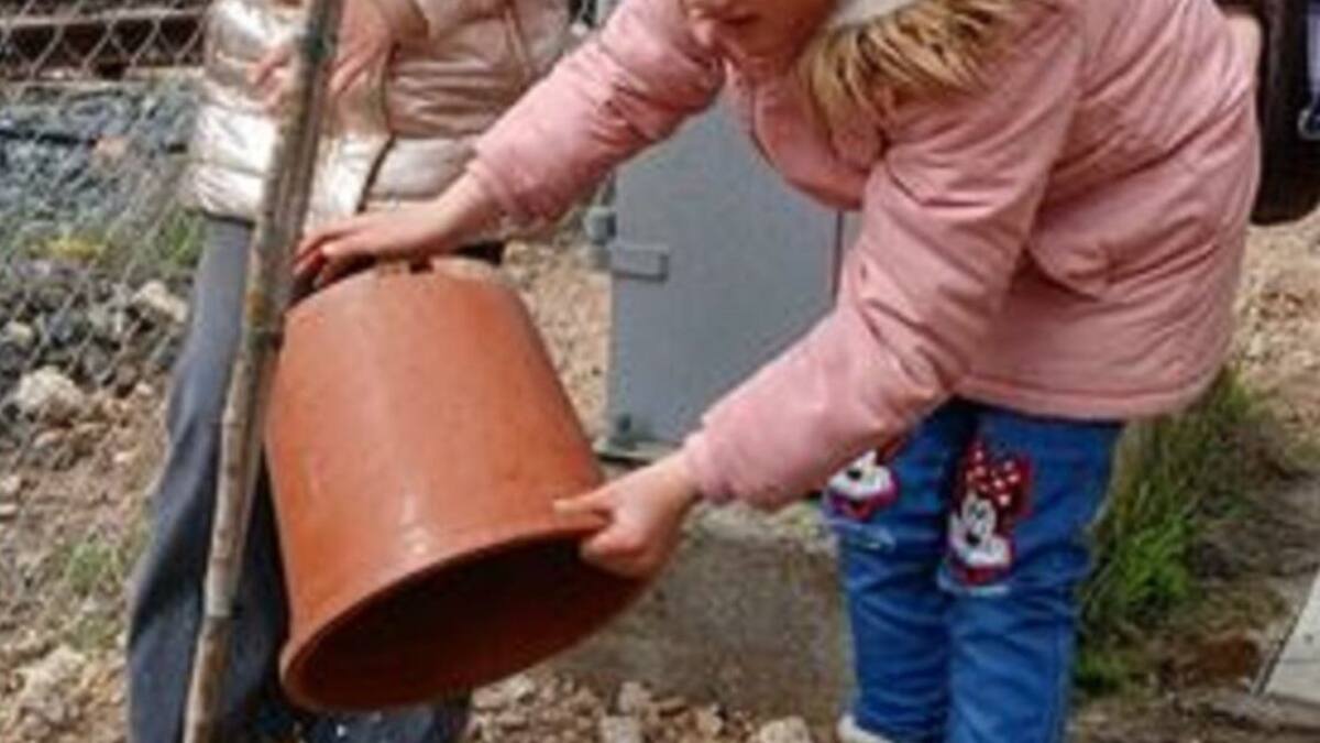"El árbol es la tecnología más avanzada del planeta"