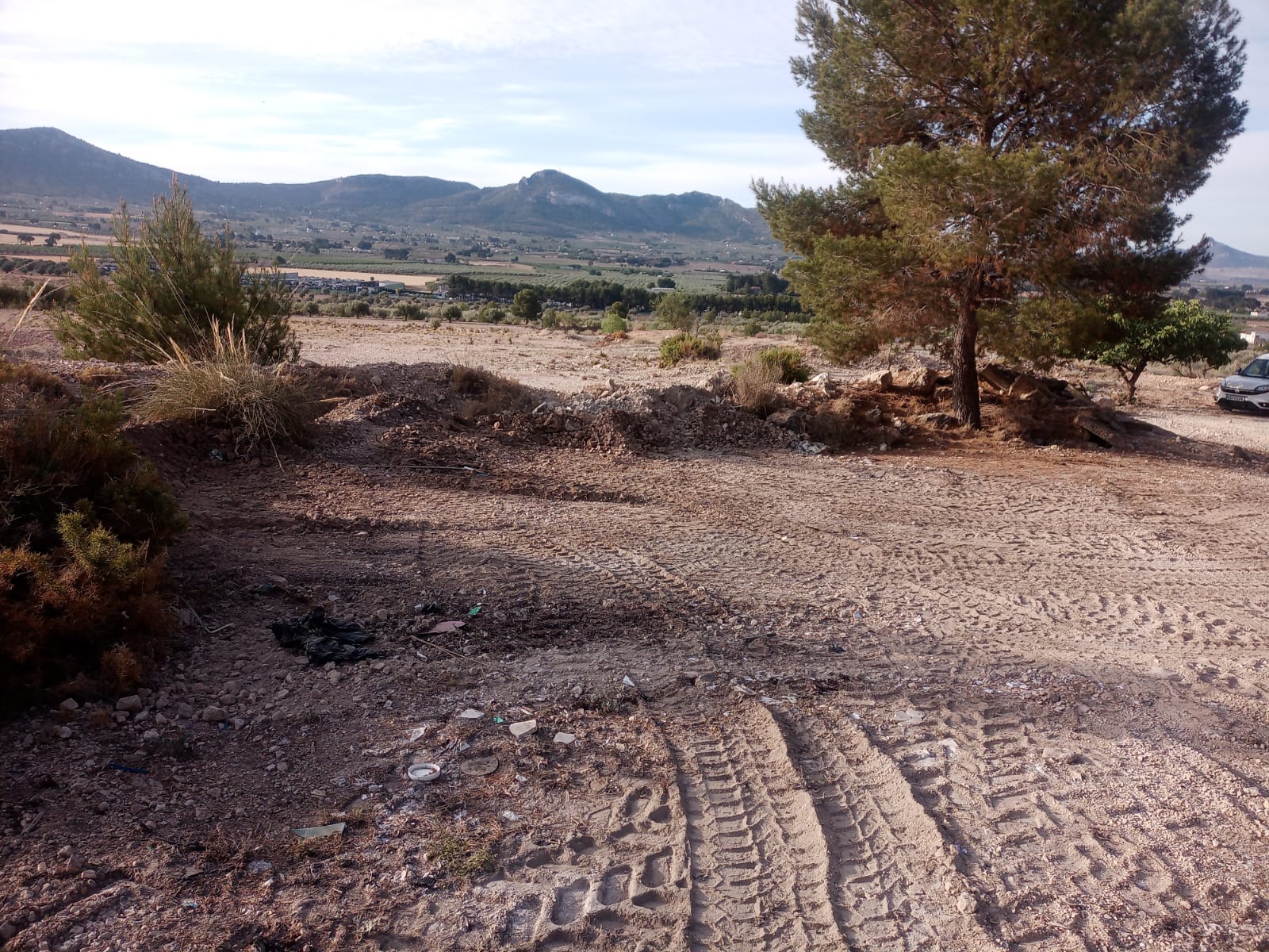 Vertidos en el paraje La Soiana. Villena