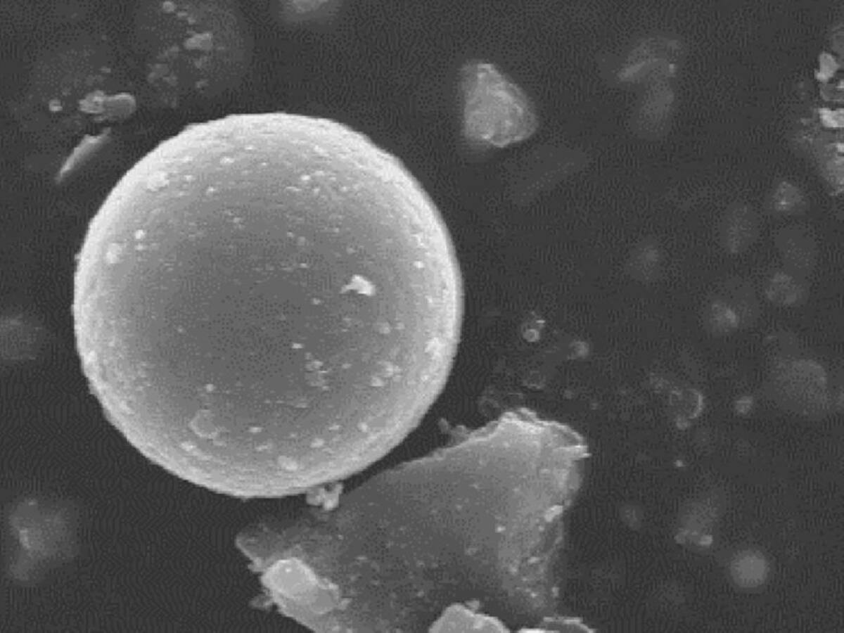 Detectan por primera vez en el aire de Zaragoza la presencia de diversas fibras plásticas