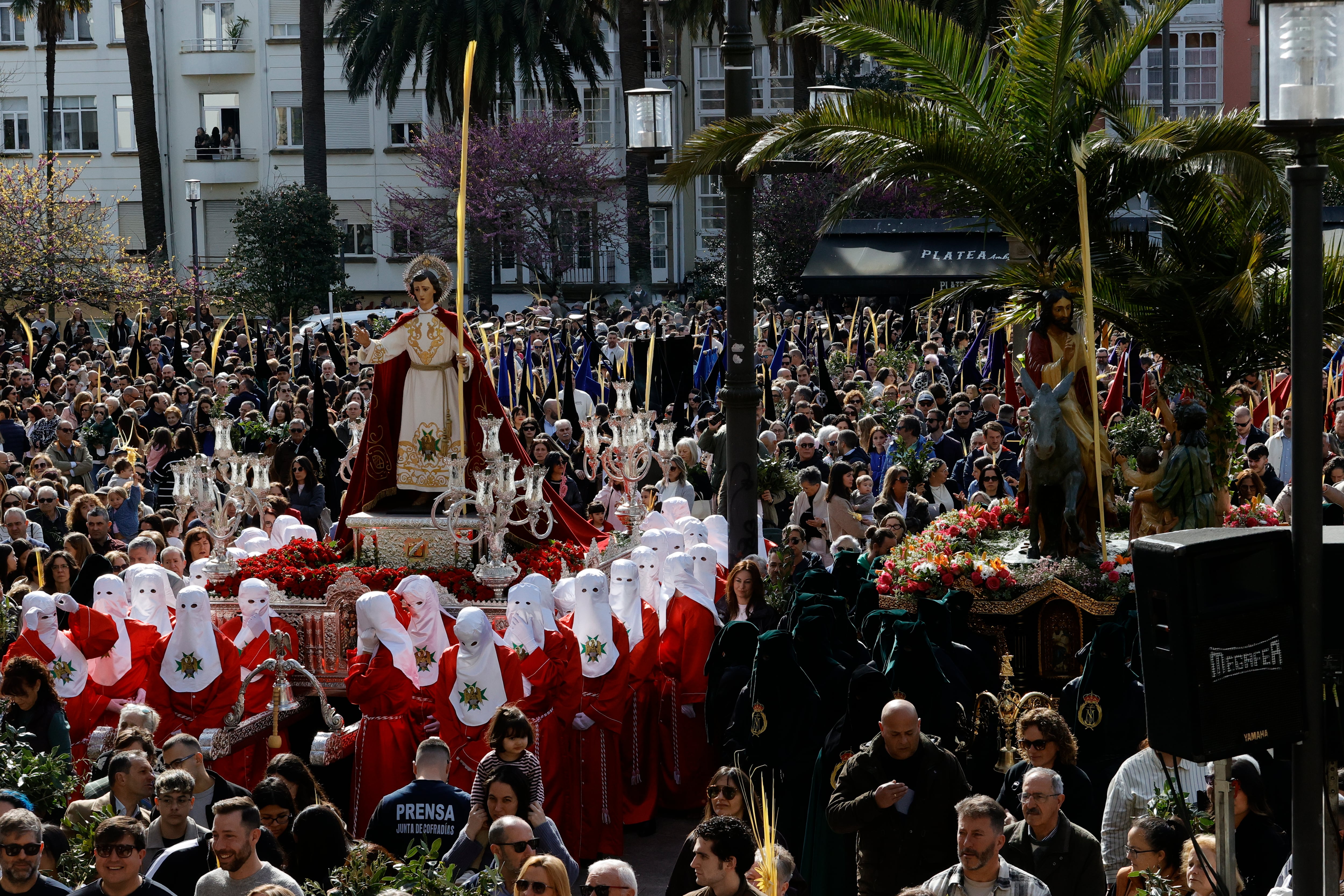 FERROL, 29/03/2026.- Ferrol abre su Semana Santa de interés turístico internacional, con las procesiones matinales del Domingo de Ramos que promueven las cofradías de las Angustias y de Dolores tras la tradicional bendición de las palmas y ramos en la céntrica plaza de Amboage. EFE/Kiko Delgado