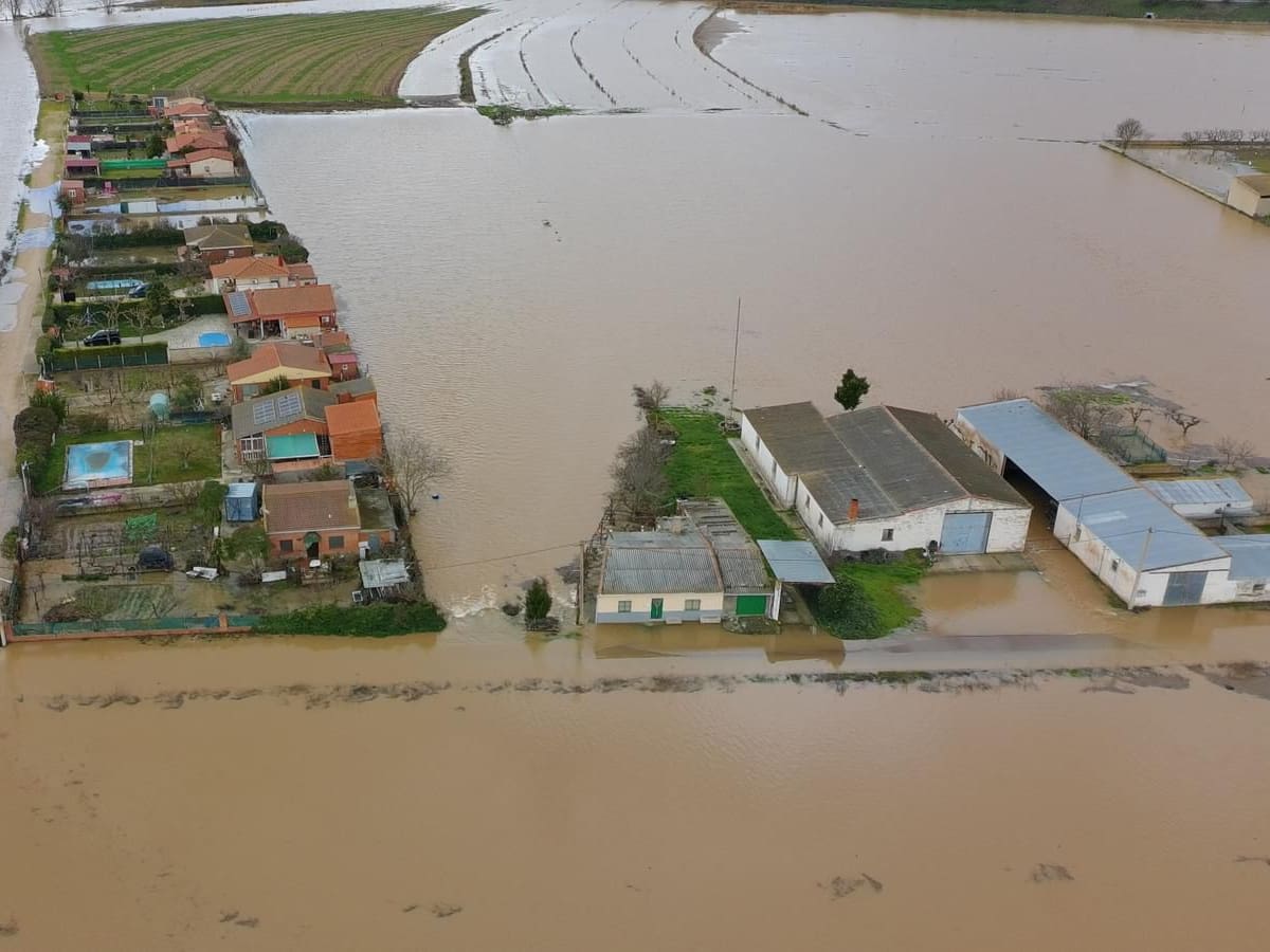 Víctor Gómez, ganadero de La Rinconada: "De la confederación no sabemos absolutamente nada"