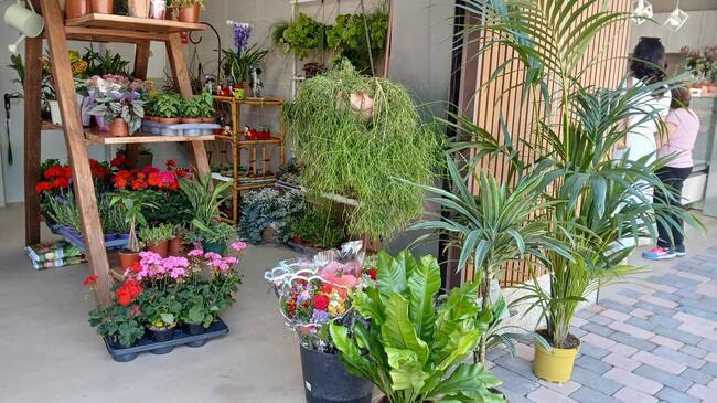 Floristería del mercado de abastos del barrio de San Cristóbal de Lorca