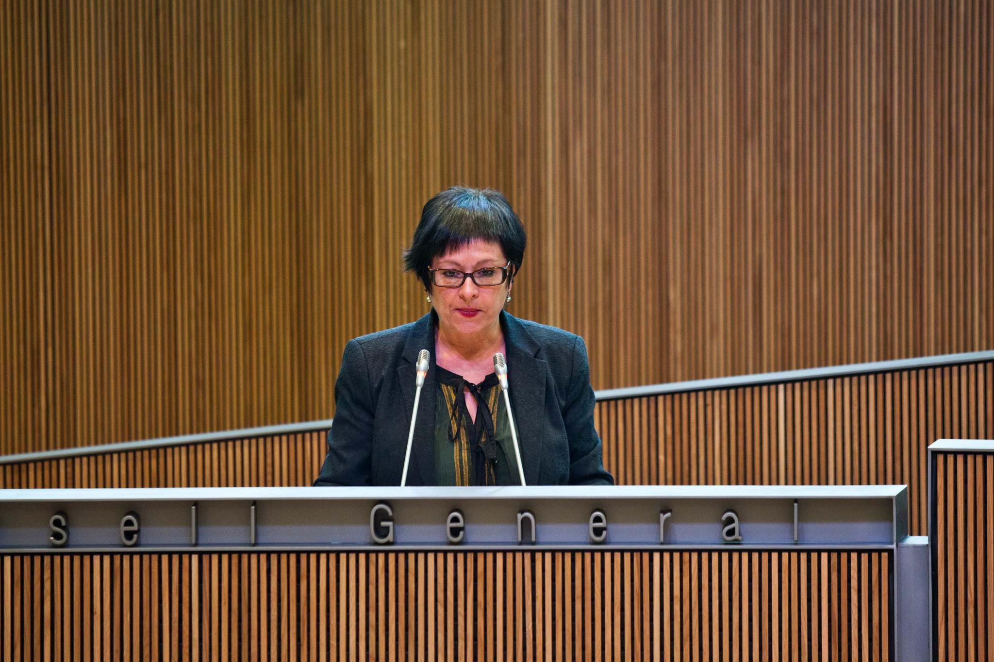 Mariona González a la tribuna d&#039;oradors del Consell General.