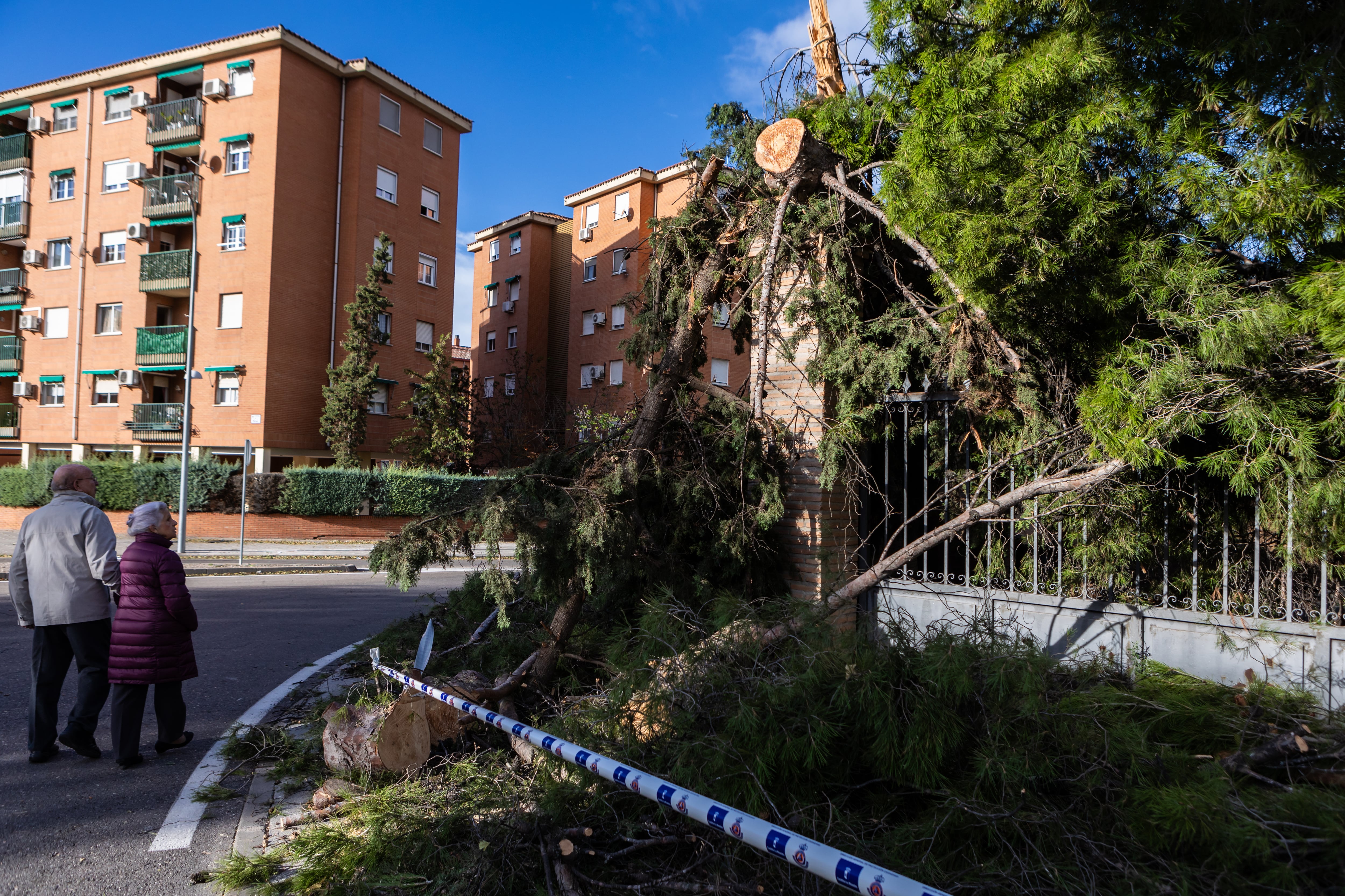 Los fuertes vientos de la borrasca Ciarán han causado en Castilla-La Mancha más de medio millar de incidencias, muchas por árboles y ramas derribados