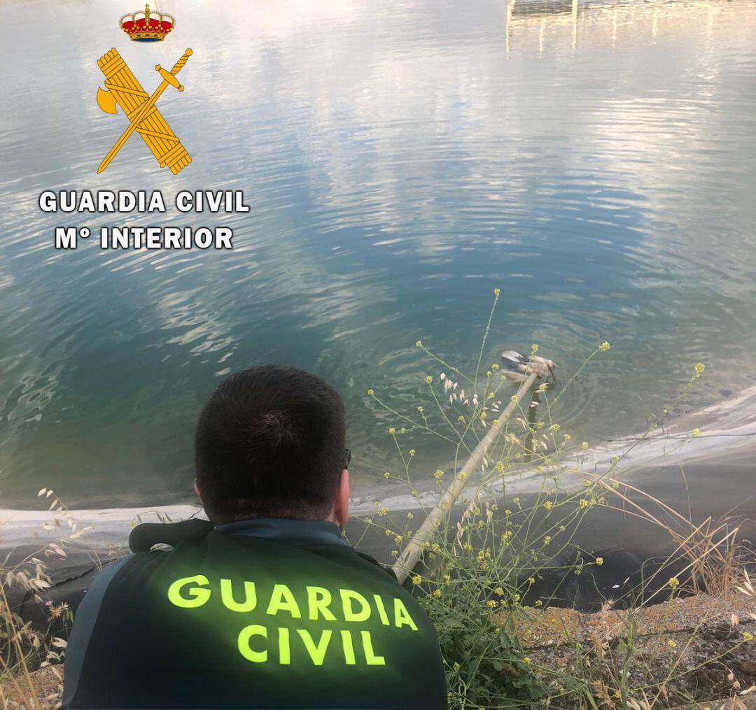 La Guardia Civil de Palencia ha rescatado a una cría de cigüeña que se ahogaba en una balsa de riego