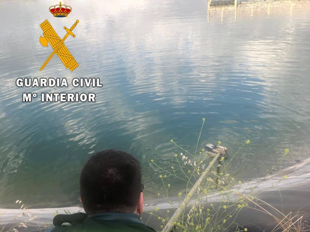 La Guardia Civil de Palencia rescata una cría de cigüeña que se ahogaba en una balsa de riego