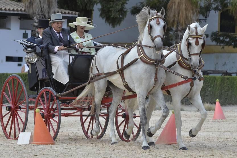 Concurso Nacional de Enganches