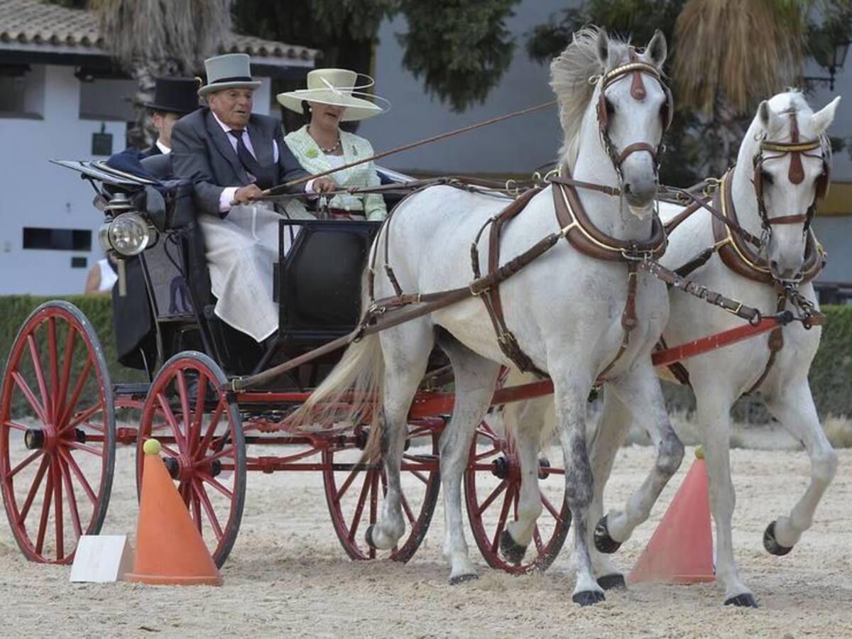 Guzmán Lyon gana el Concurso Internacional de Enganches