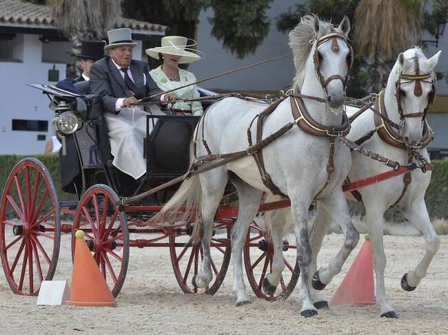 Concurso Nacional de Enganches