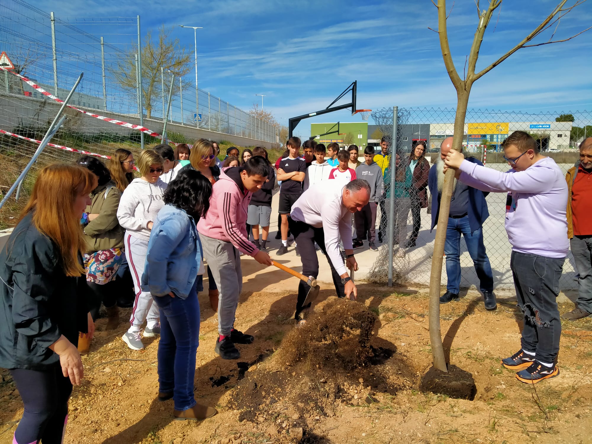 El alcalde de Tarancón planta una morera en el IES &quot;Luisa Sigea&quot; en el Día Mundial del Árbol 2023