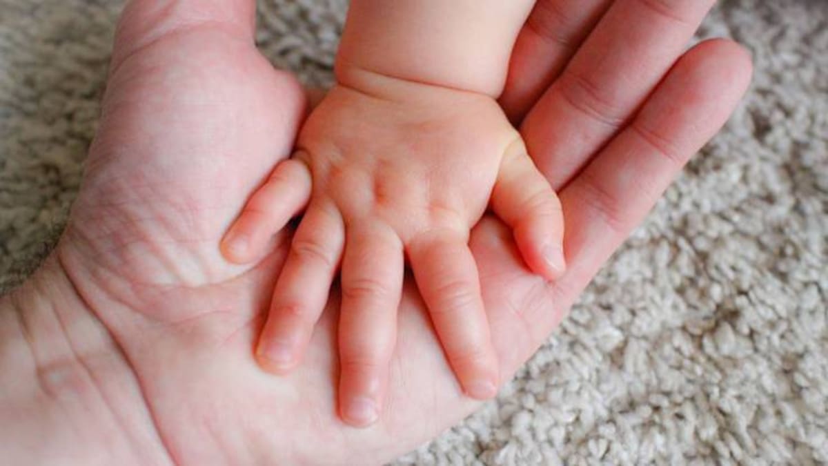 Adopciones en Cantabria