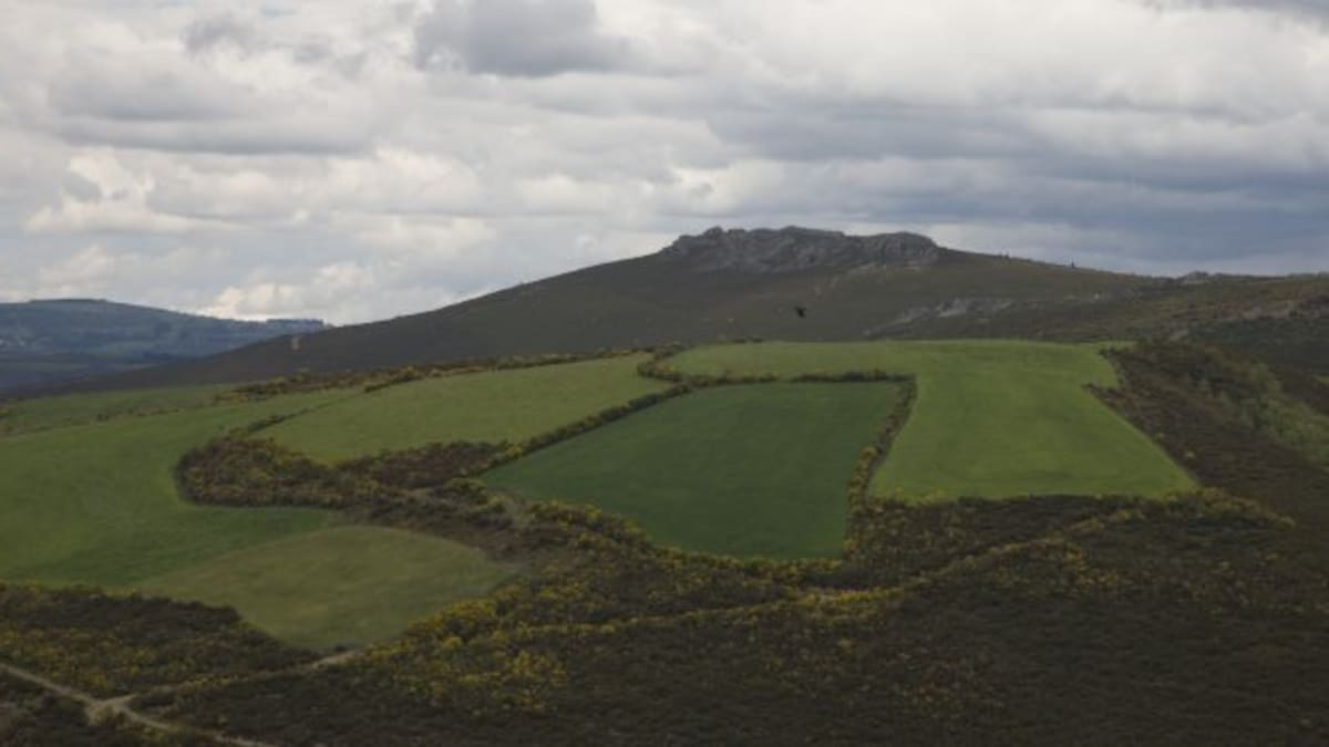 Fé Álvarez: "Antes o ecoturismo se pensaba que era cousa de catro mal chamados perroflautas, e nada ten que ver"