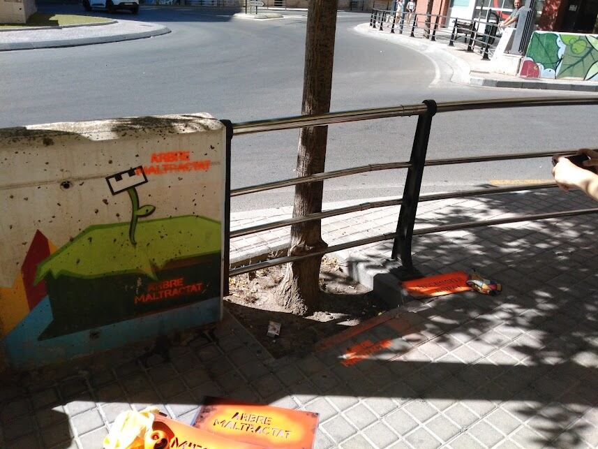 Árbol en mal estado en Alcoy