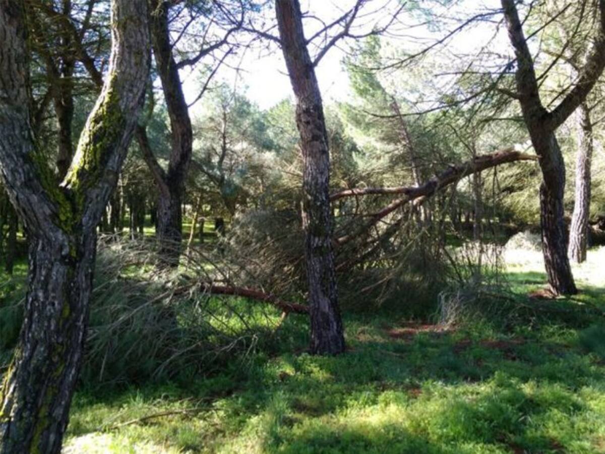 El Ayuntamiento de Zamora admite la falta de limpieza en Valorio