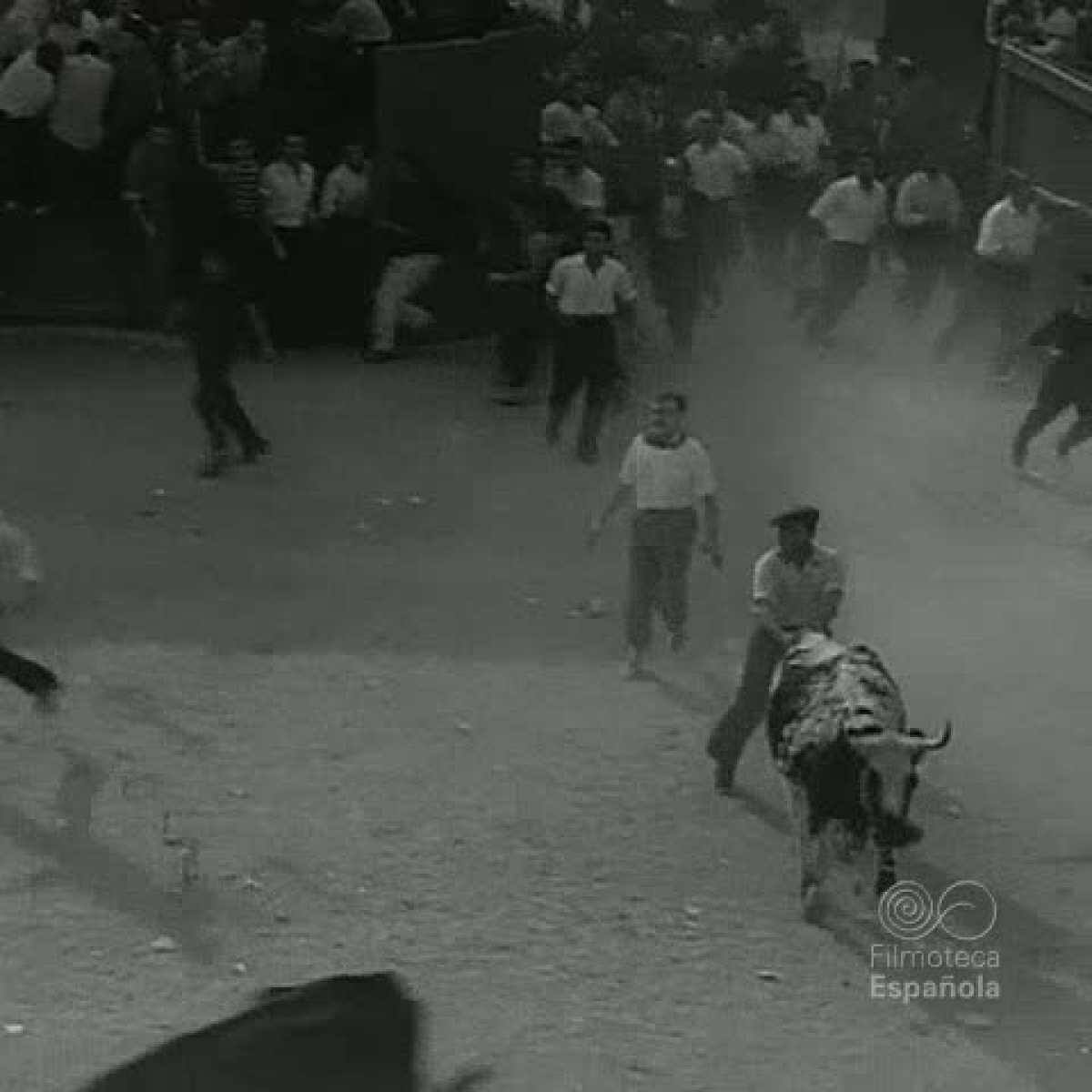 Los encierros taurinos de San Sebastián de los Reyes están documentados desde el año 1525