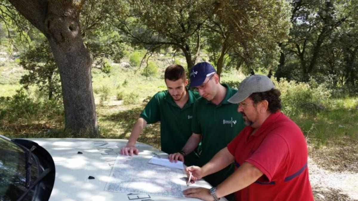 Baile de competencias en extinción de incendios