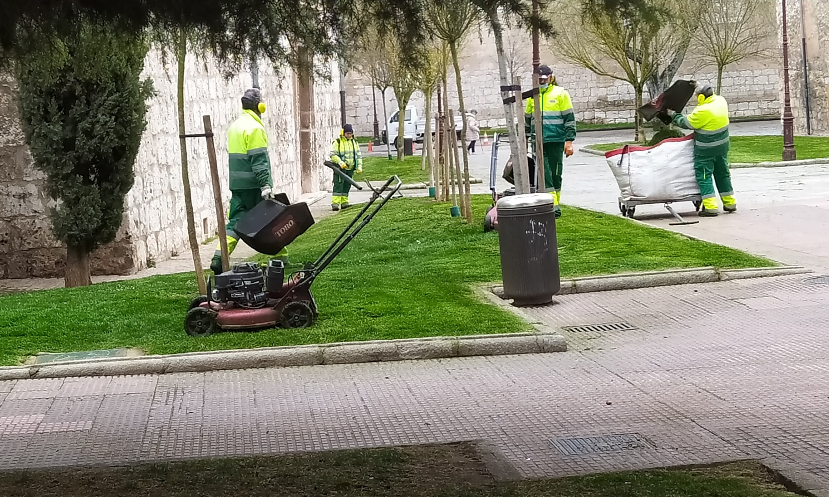 Operarios del servicio de parques y jardines