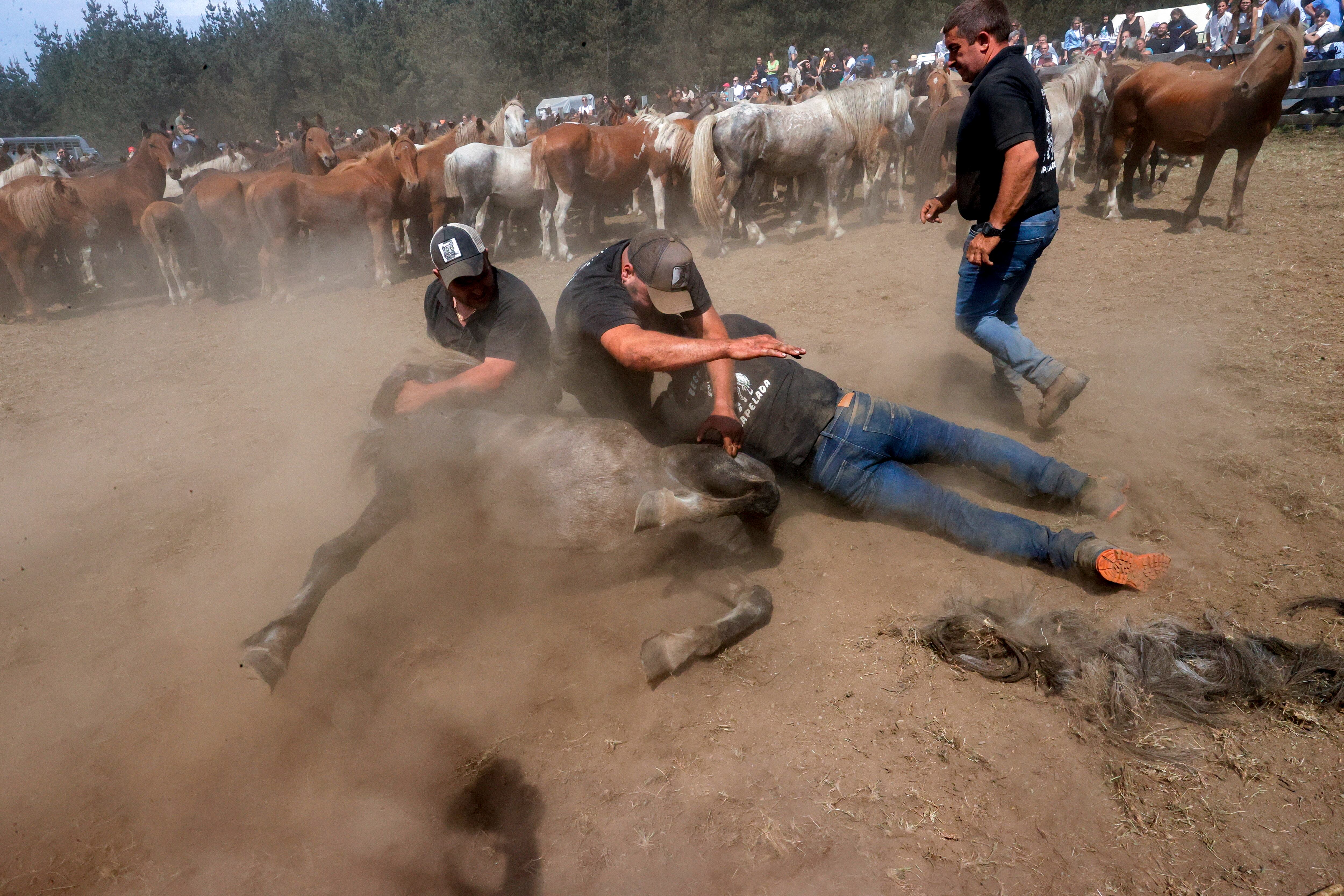 CEDEIRA, 04/06/2023.- Cedeira celebra este domingo su emblemática Rapa das Bestas en el curro de la sierra de A Capelada, que adquirió más popularidad gracias a la serie televisiva &quot;Rapa&quot;, protagonizada por Javier Cámara y Mónica López. EFE/ Kiko Delgado.