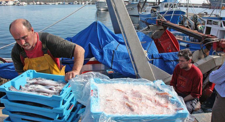 Ara les vedes són voluntàries i es fan en alguns llocs tot i la falta de recursos.