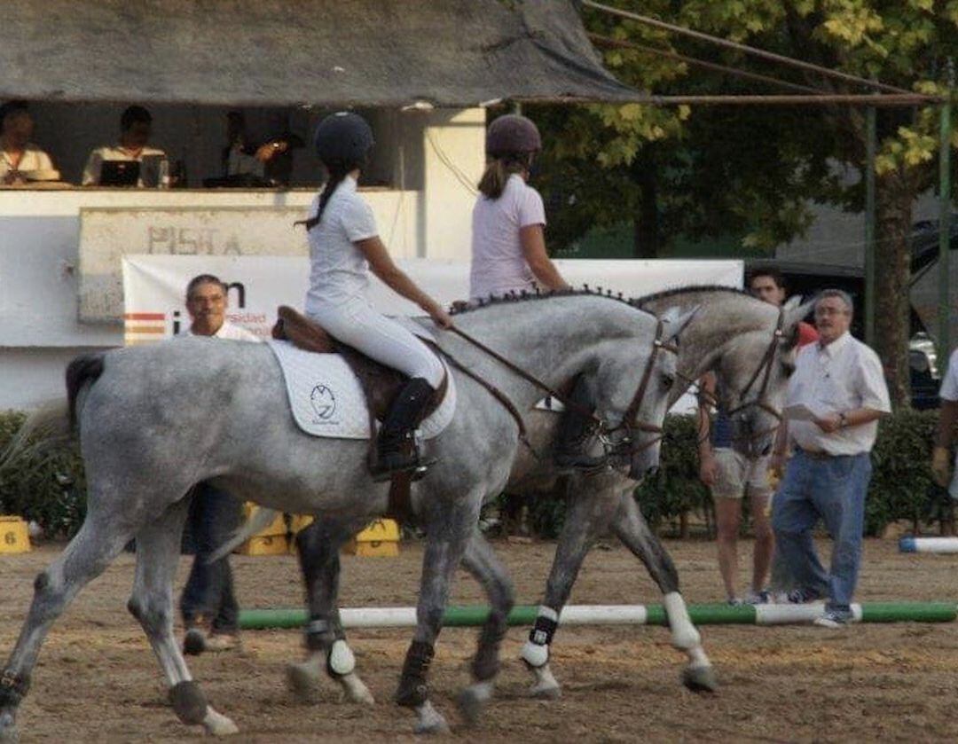 Julián Cabrera durante el Concurso Nacional de Hípica de Baeza