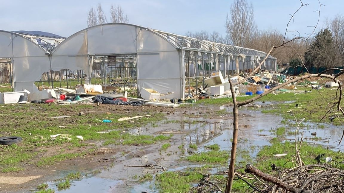 La borrasca Oriana provocó daños en explotaciones agrícolas y ganaderas de Candeleda