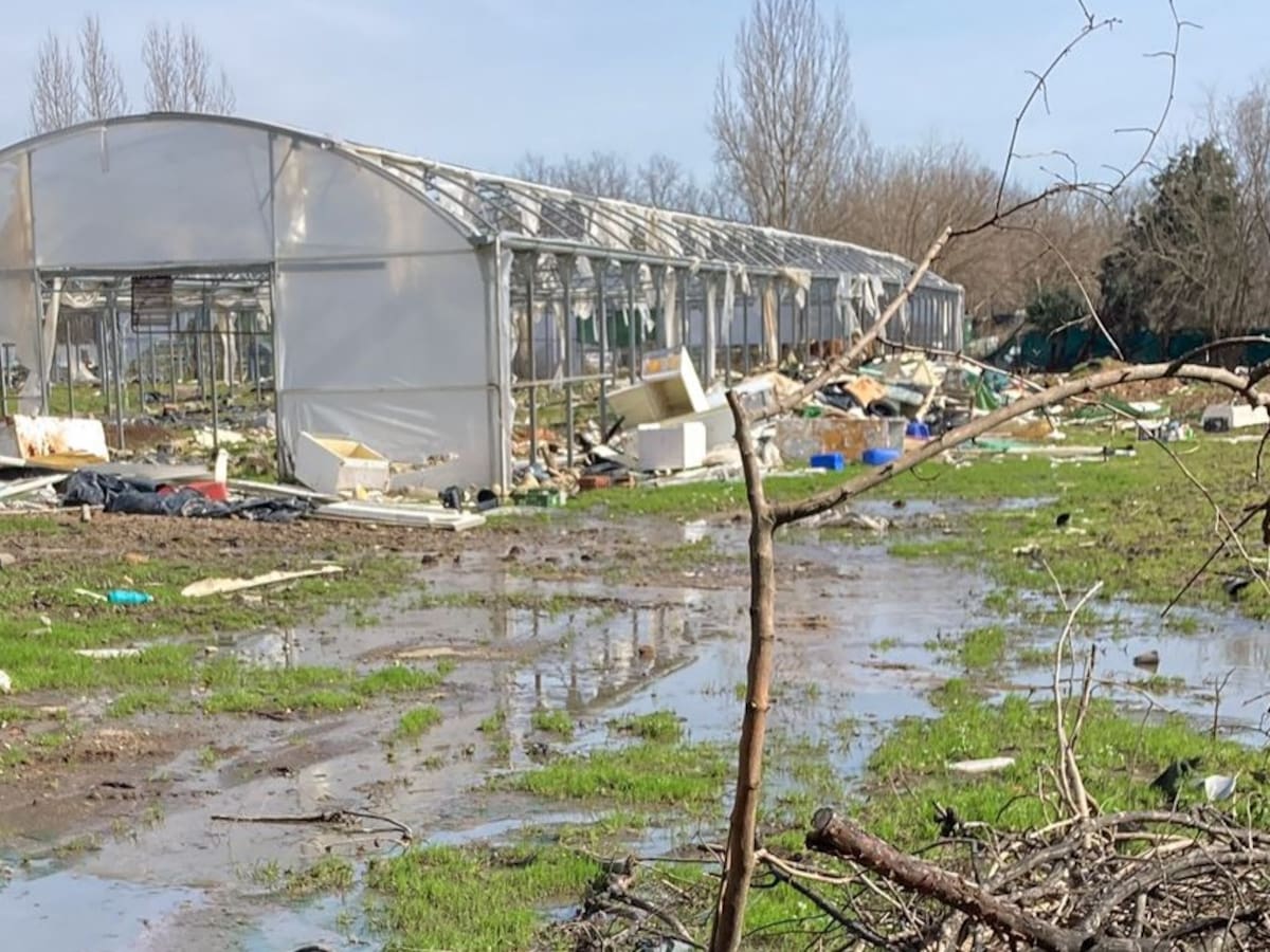 UCCL Ávila pide ayudas para los agricultores y ganaderos de Candeleda que han sufrido pérdidas por la borrasca Oriana