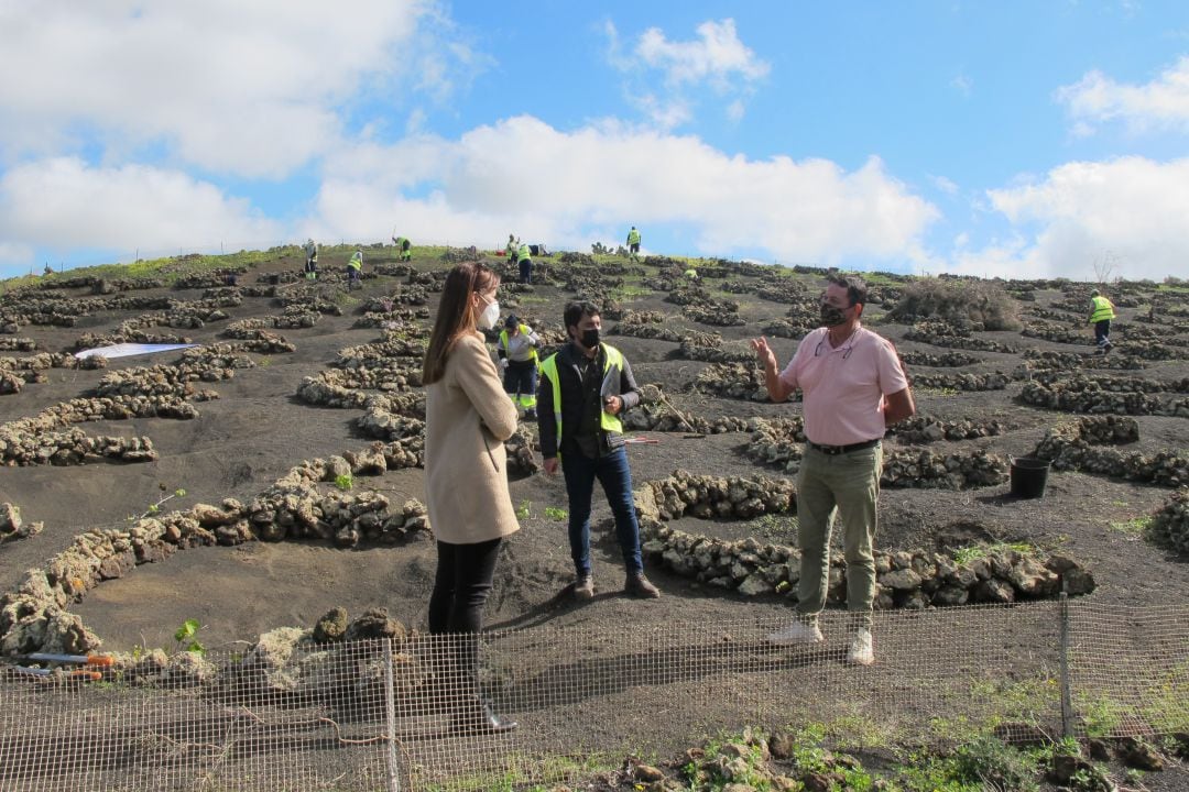 La consejera de Empleo del Cabildo de Lanzarote, Nerea Santana, visitando a una de las cuadrillas en La Geria.