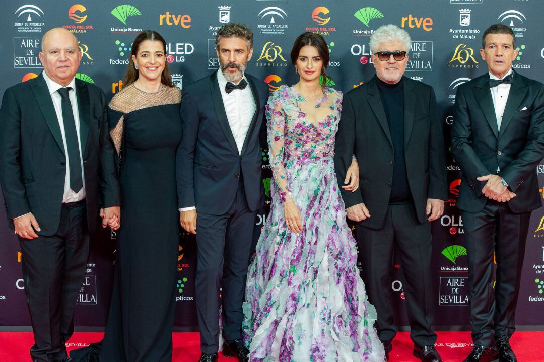 El elenco de &quot;Dolor y Gloria&quot; acuden a la gala de la  XXXIV edición de los Premios Goya, en Málaga (Andalucía, España), a 25 de enero de 2020 27 enero 2020
 Federico Torra Europa Press
 