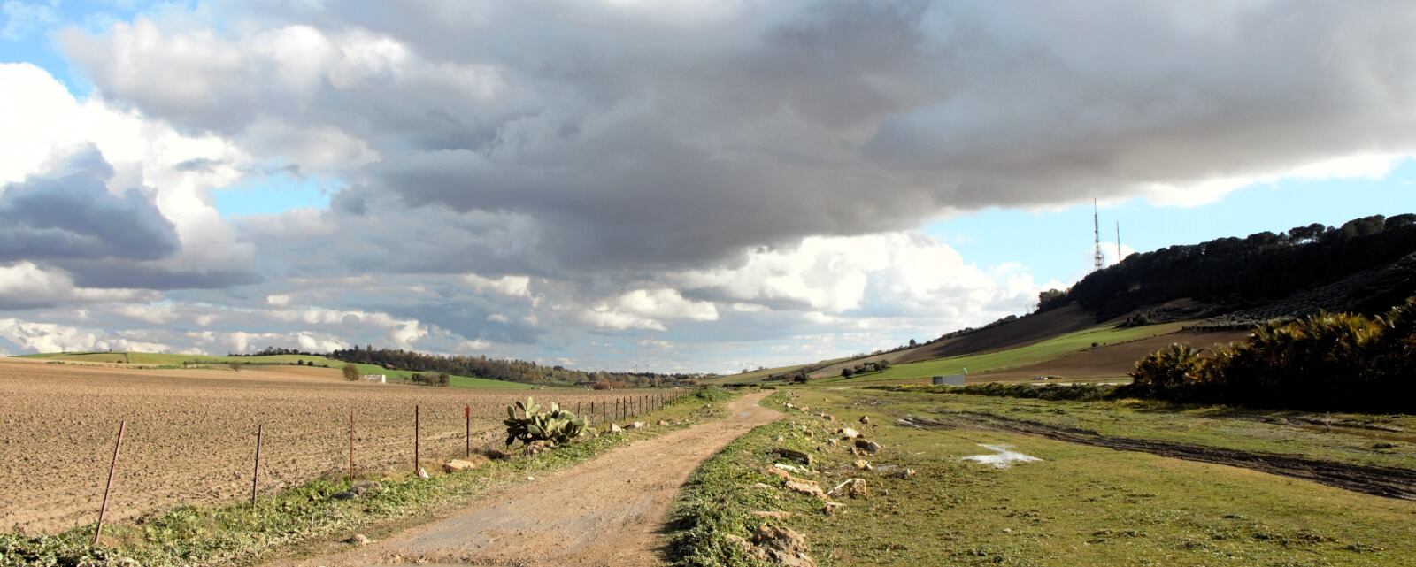 Recorrido por la Cañada del Carrillo