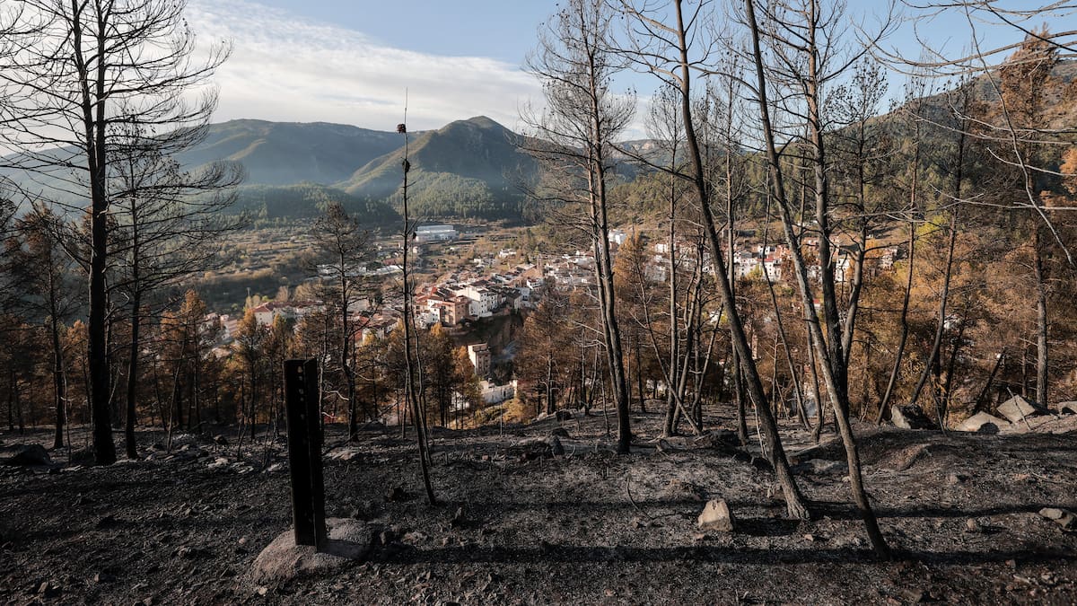 Entrevista a Juli Bausas, investigador del CSIC en La Ventana Comunitat Valenciana (18-07-2024)