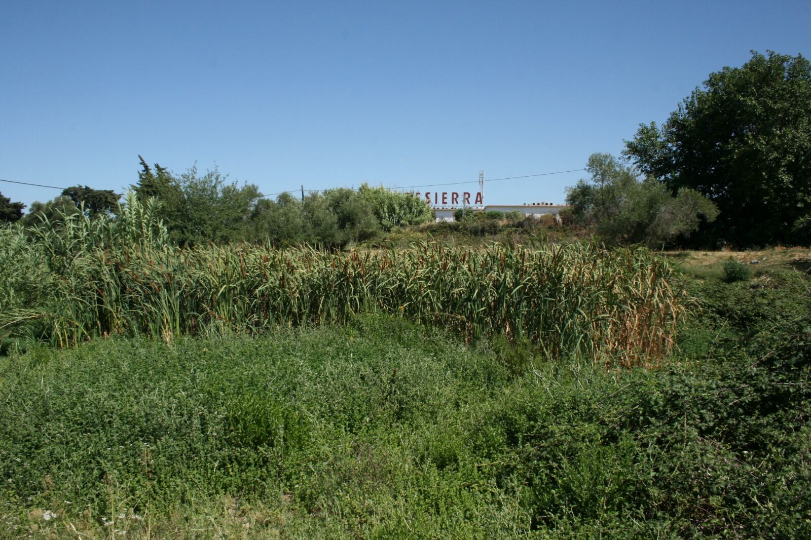 Recorrido por el camino de la Fuente de Pedro Díaz en Jerez