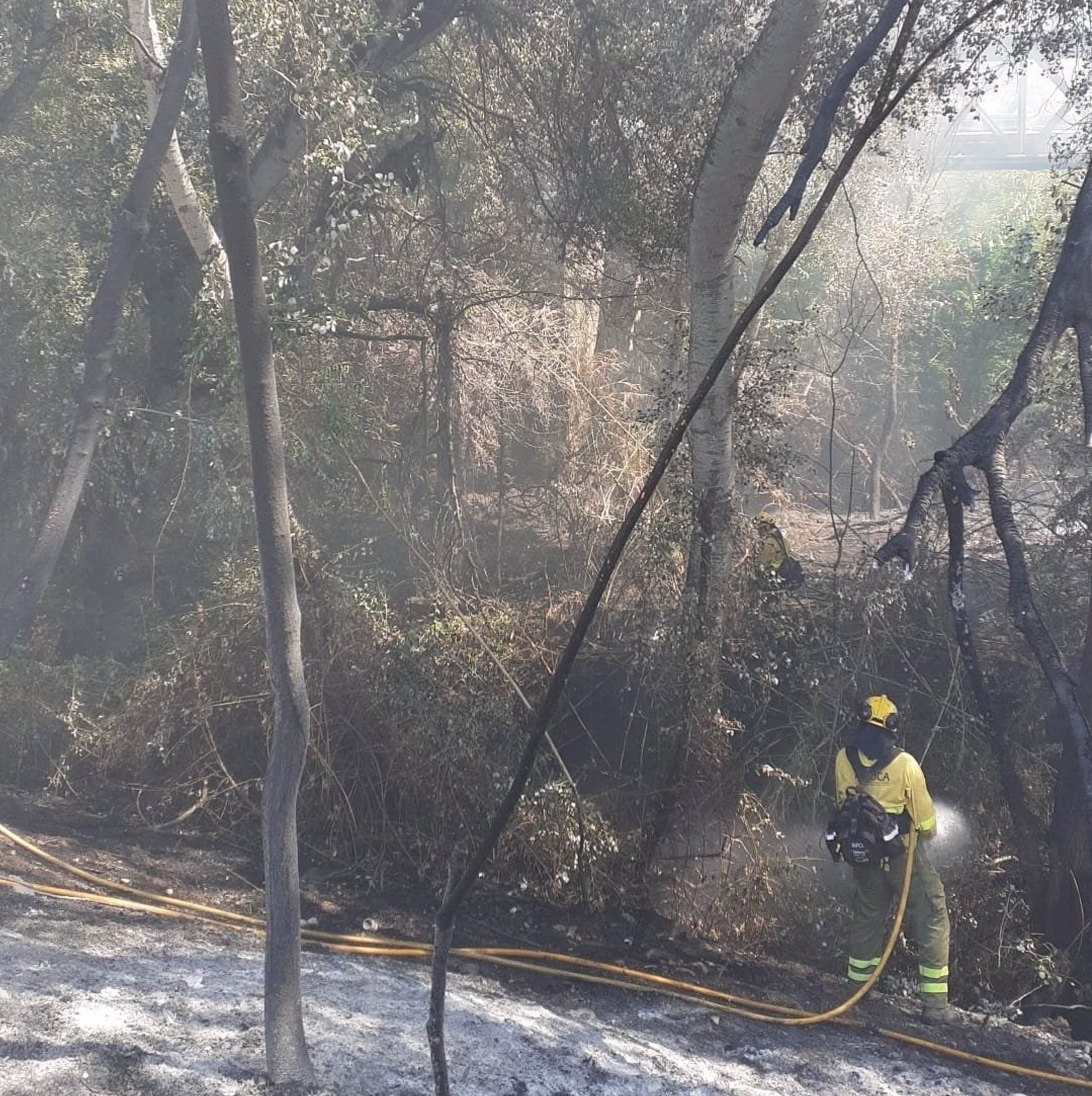 Imagen del incendio en Lora del Río.