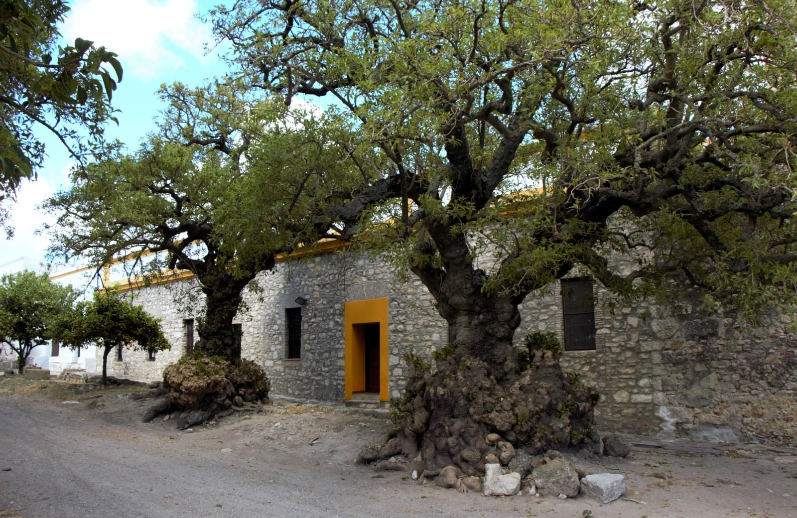 Recorrido por el Castillo de Gigonza y alrededores