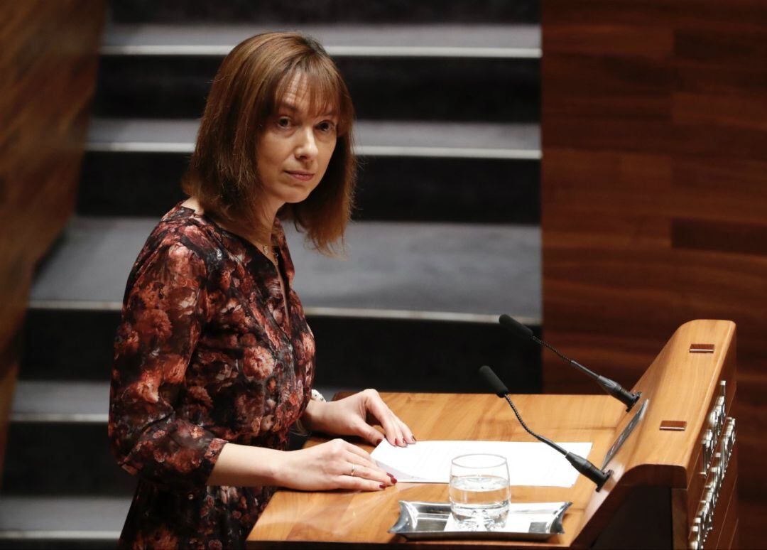 La consejera de Hacienda, Ana Cárcaba, durante un pleno.