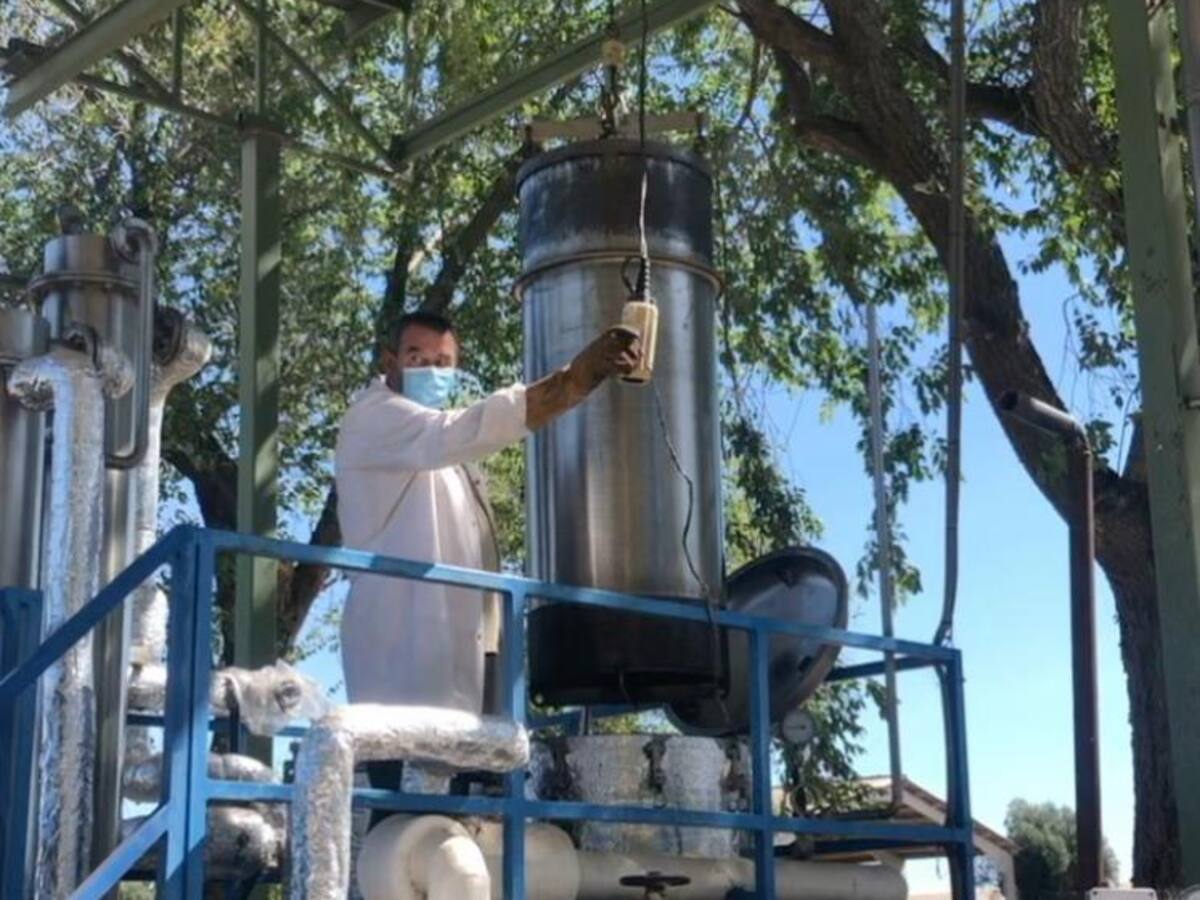 El proyecto Spagyria a punto de iniciar la elaboración de su crema ecológica