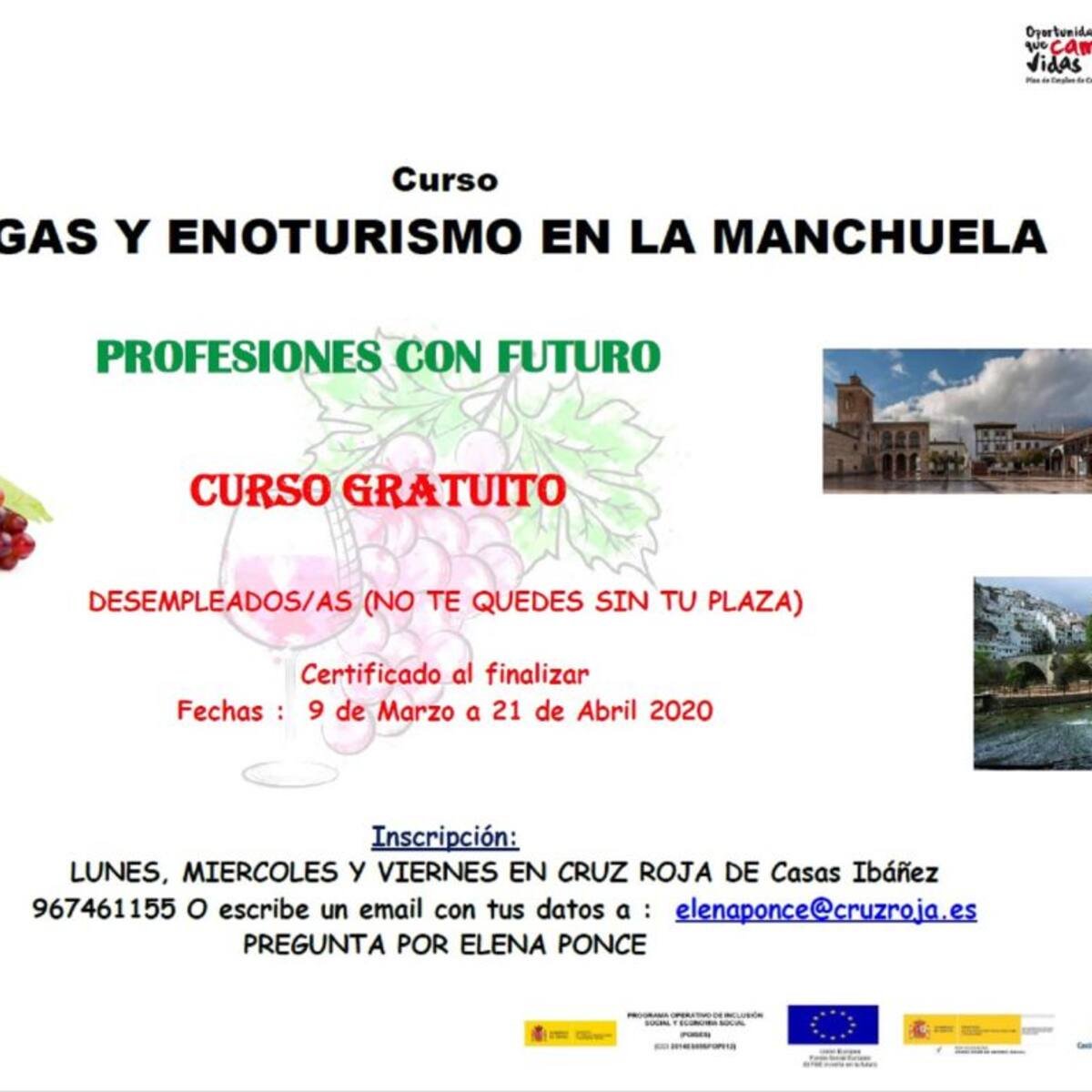 Curso sobre Bodegas y Enoturismo organizado por la DO Manchuela