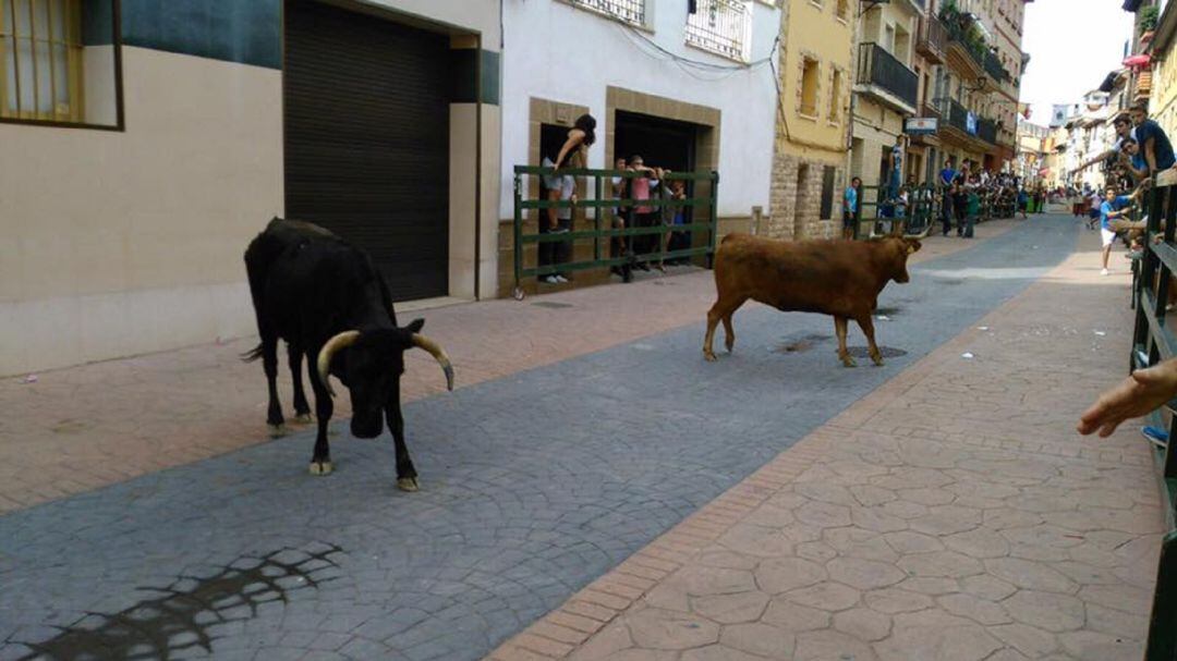 Imagen de archivo de un encierro en las calles de Ejea de los Caballeros durante unas fiestas patronales