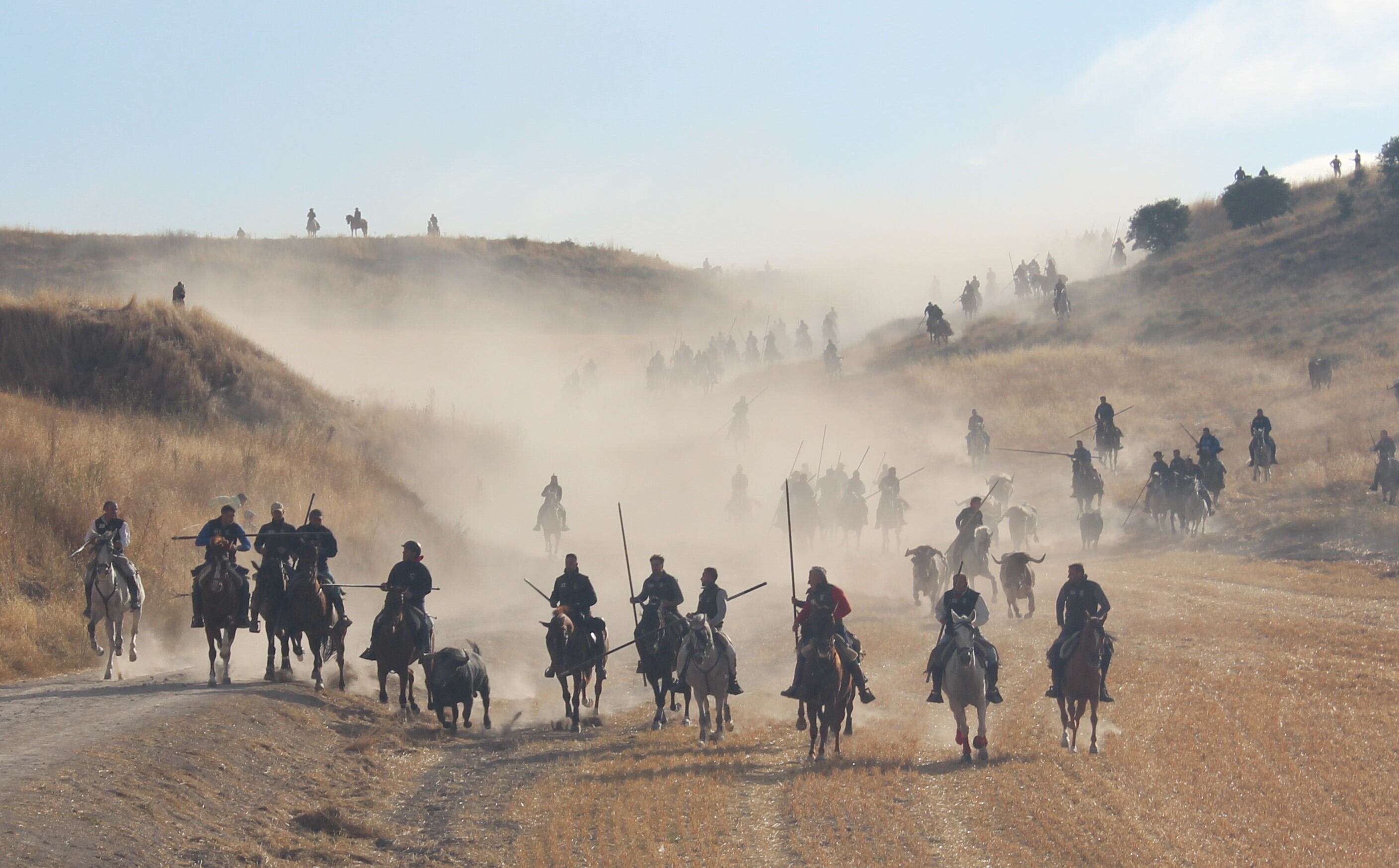 Tres reses de la ganadería de Partido de Resina hacen entrada en el Embudo de Cuéllar