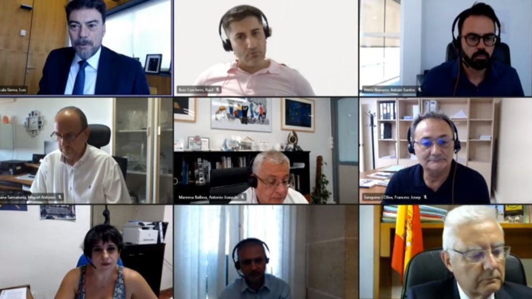 Captura de pantalla de la sesión plenaria de este jueves, la última antes de las vacaciones