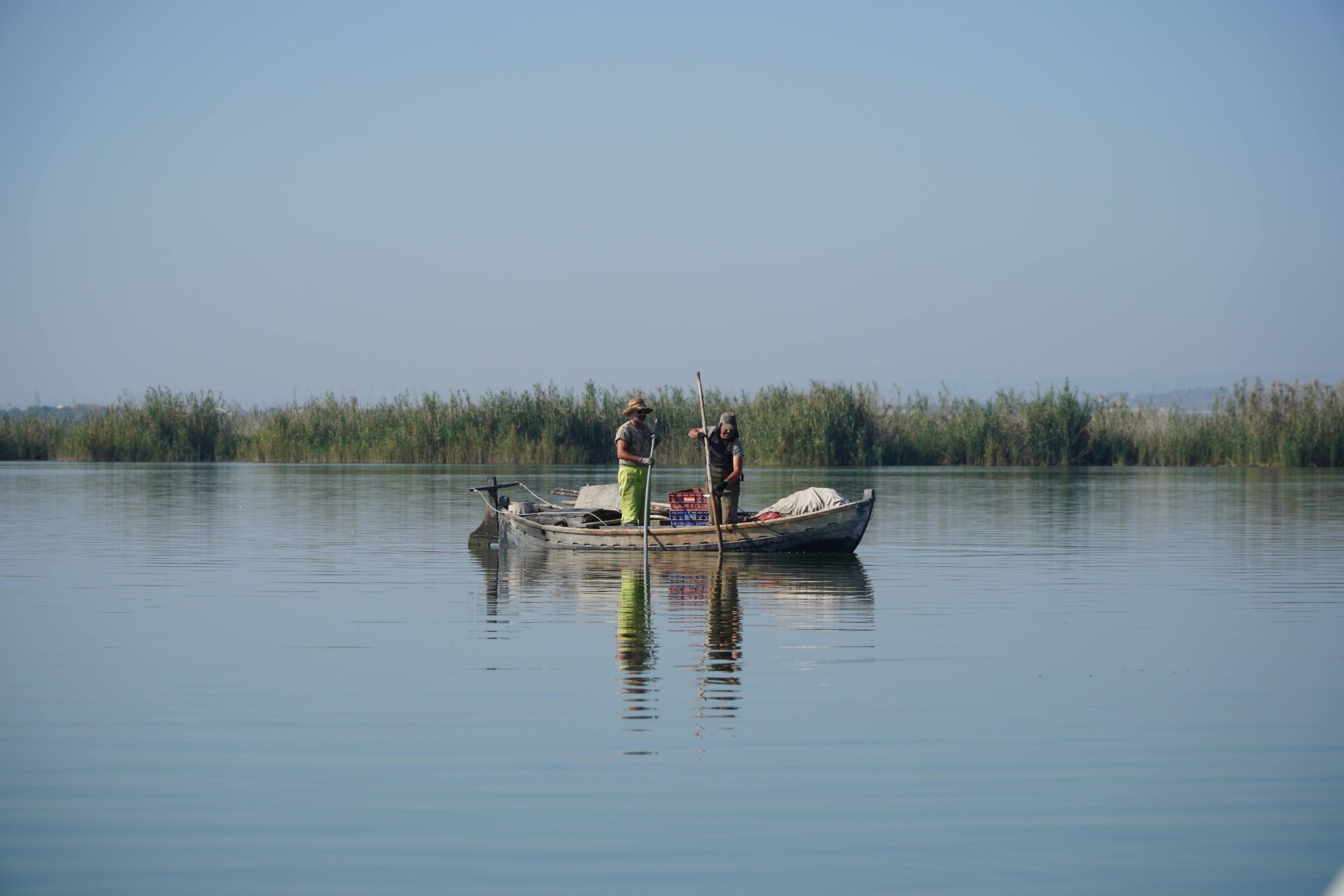 La CHJ estudia la cantidad de peces presentes en l’Albufera.