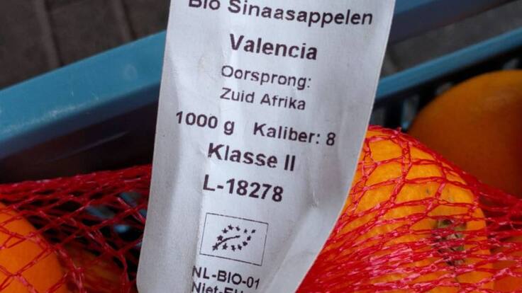 La llavor (02-10-2021)