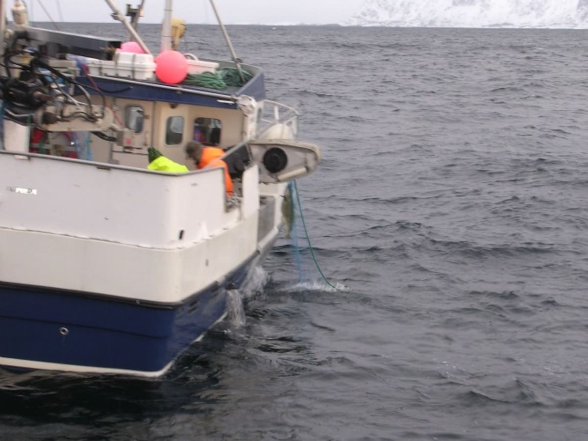 Los pescadores suben pieza a pieza al barco donde se va colocando en grandes cestas para llegar a la lonja