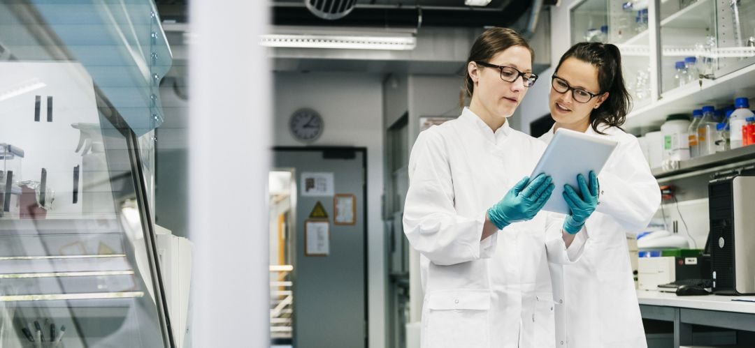 Sólo el 25 por ciento del alumnado de las carreras de ciencia son mujeres