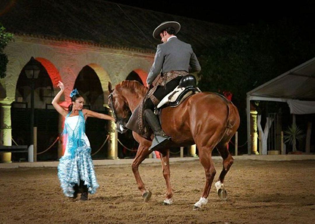 Espectáculo Pasión y duende del caballo andaluz