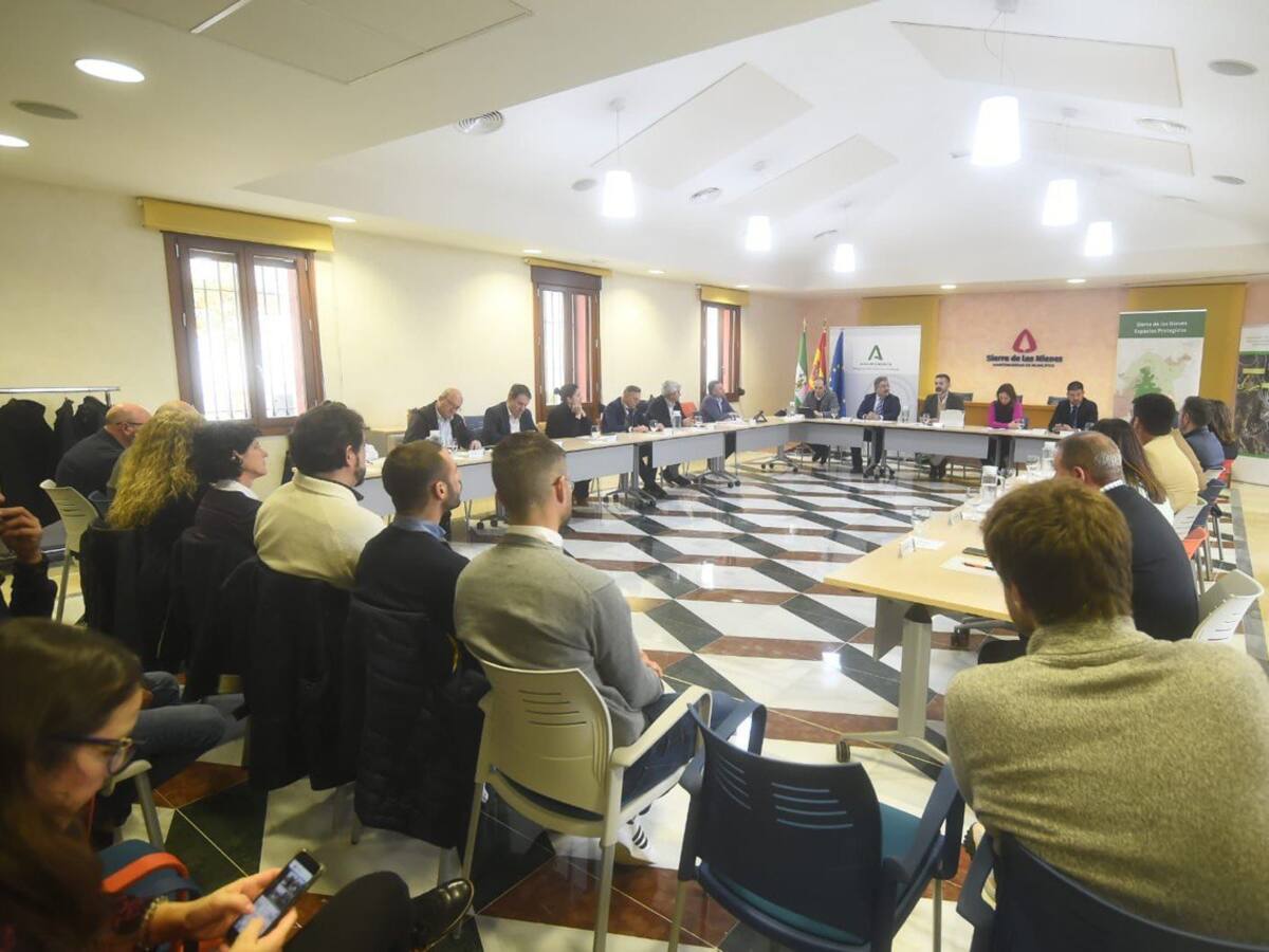 La Sierra de las Nieves tendrá dos centros de visitantes y un complejo internacional para estudiar los pinsapos