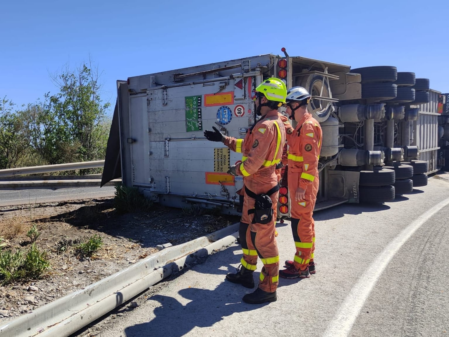 Un camión que transportaba toros ha sufrido un accidente este miércoles en la autovía A-3, a su paso por Buñol (Valencia), lo que ha provocado que los animales queden sueltos por las inmediaciones de la carretera.