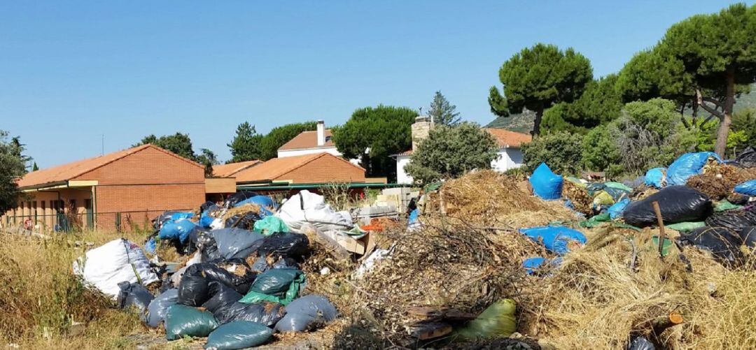 Recogida de 1,5 toneladas de residuos para conocer mejor la ‘basuraleza’