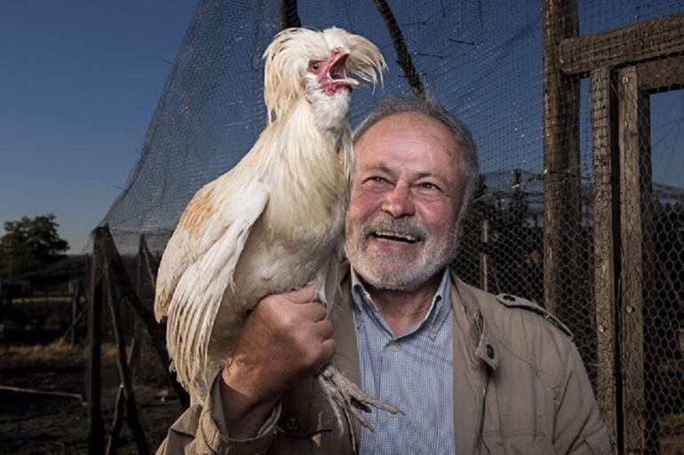 Jesús y el gallo de raya enmedio